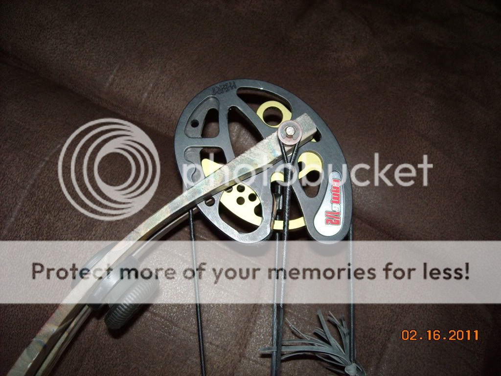 Hoyt UltraSport ZR100 24hourcampfire